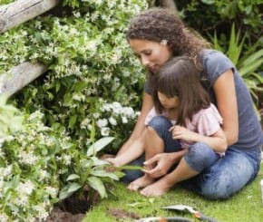 A Biodiversidade E As Alterações Climáticas