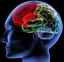 psicologia organizacional