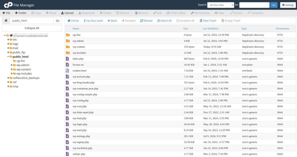 File Manager