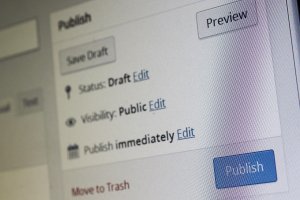 organizar o painel WordPress